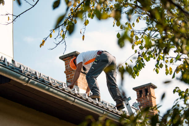 Best Roof Gutter Cleaning  in Northwest Harwinton, CT