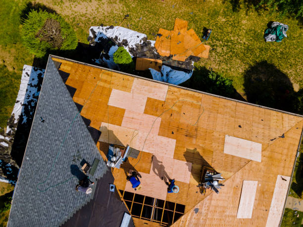 Best Roof Gutter Cleaning  in Northwest Harwinton, CT